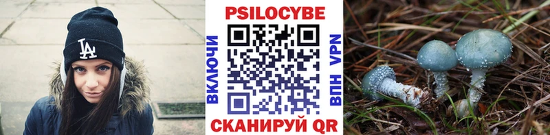 Галлюциногенные грибы мицелий  Петровск-Забайкальский 